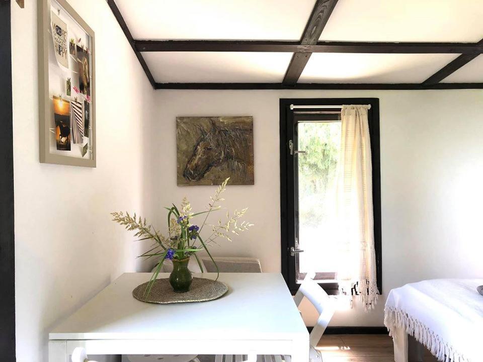 Apartamenty Lajkonik Dąbrówno 외부 사진